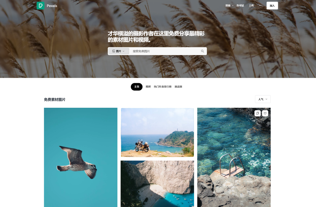 53d98c7df2042a310b072f11056d0361