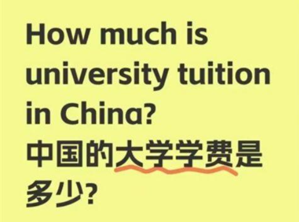 媒体：中美网友在小红书“对了一夜的账”，滤镜碎了一地